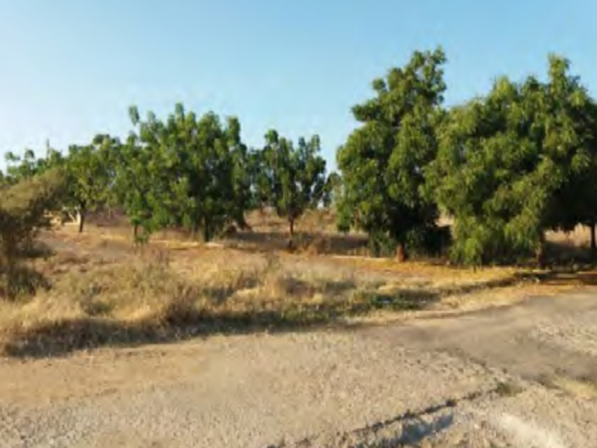 Imagem 5 do Leilão de Terreno - Remédios - Cajazeiras/PB