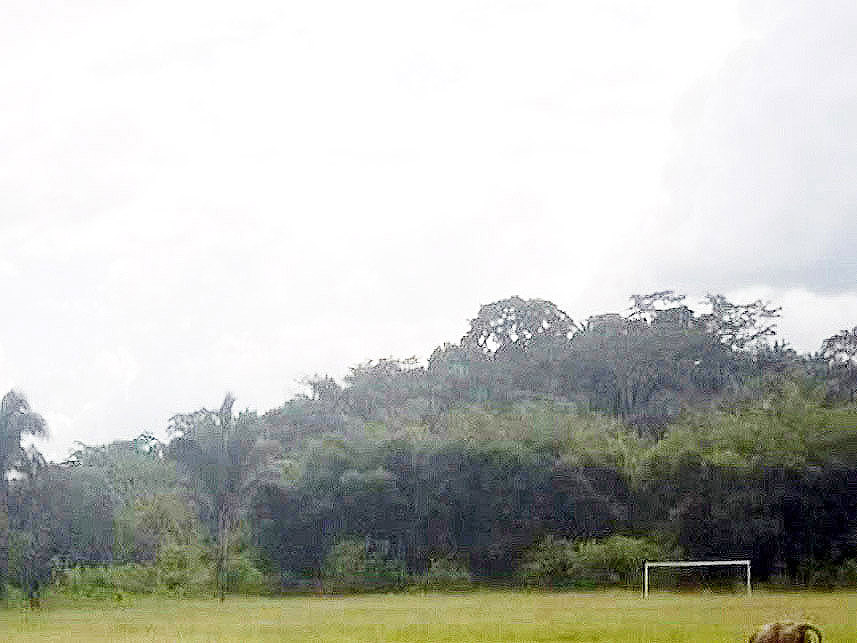 Imagem  do Leilão de Terreno - Portal do Araguaia - São Geraldo do Araguaia/PA