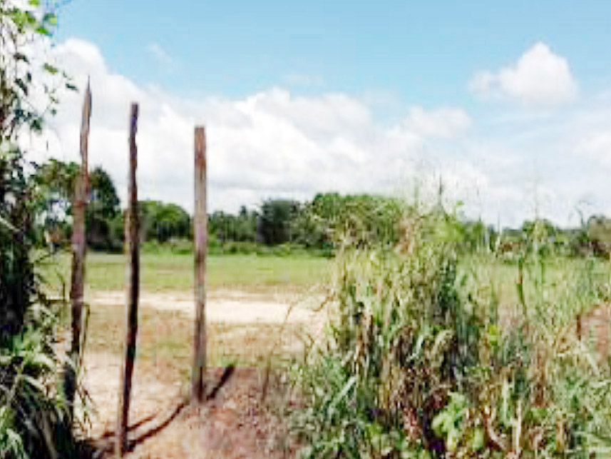 Imagem 3 do Leilão de Terreno - Cidade Nova - Cametá/PA