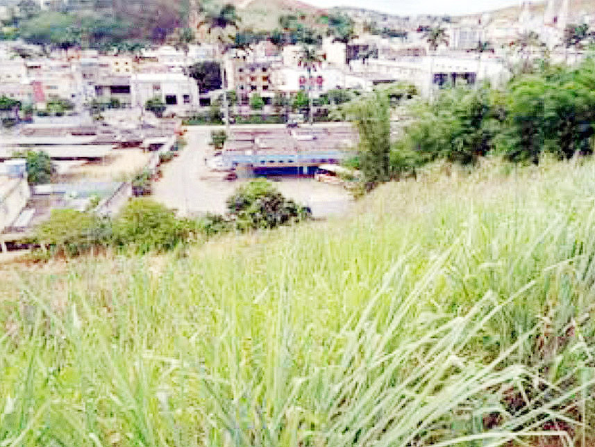 Imagem 2 do Leilão de Terreno - Centro - Ubá/MG