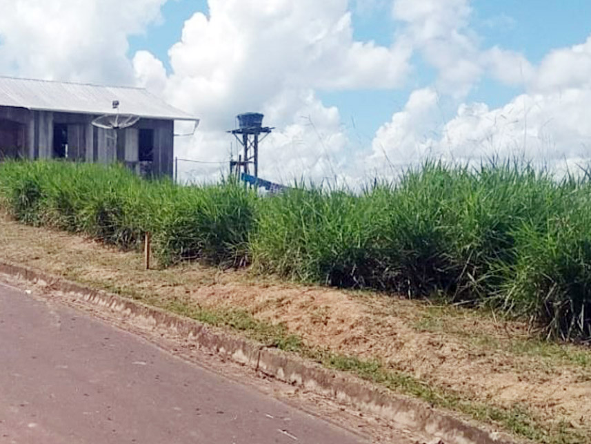 Imagem 4 do Leilão de Terreno - Centro - Ipixuna/AM