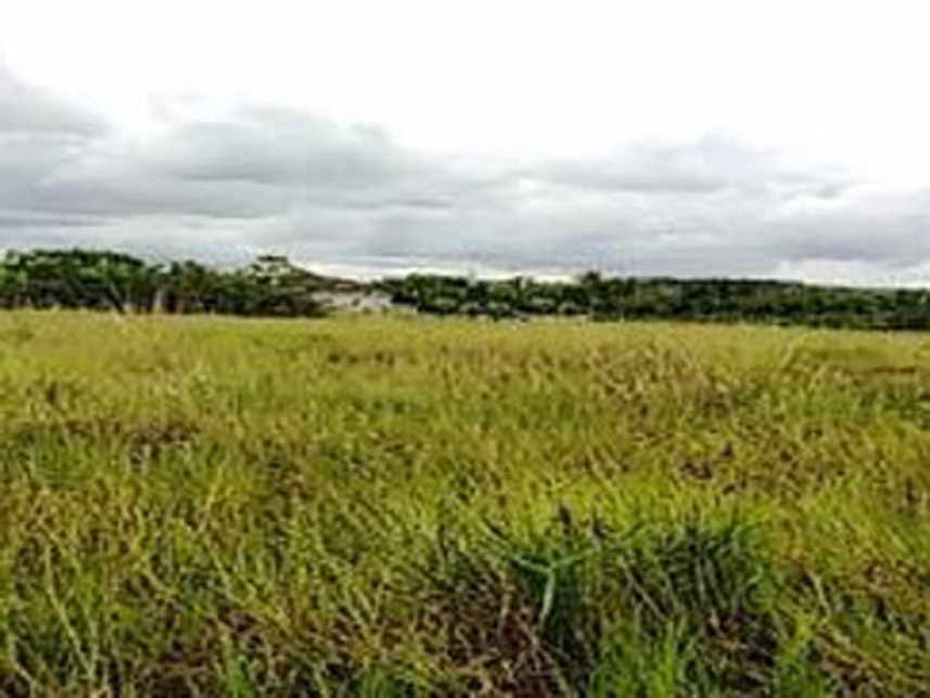 Imagem 3 do Leilão de Terreno - Polo Petroquímico - Camaçari/BA