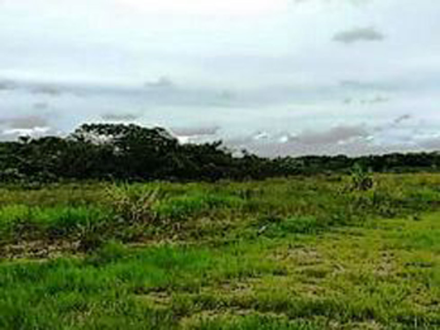 Imagem 2 do Leilão de Terreno - Polo Petroquímico - Camaçari/BA