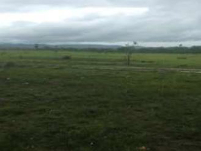 Imagem  do Leilão de Área Rural - Área Rural - Dianópolis/TO