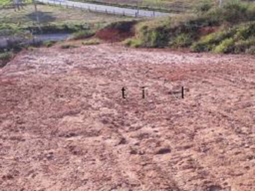 Imagem 2 do Leilão de Terreno - Santo Antonio - Viçosa/MG