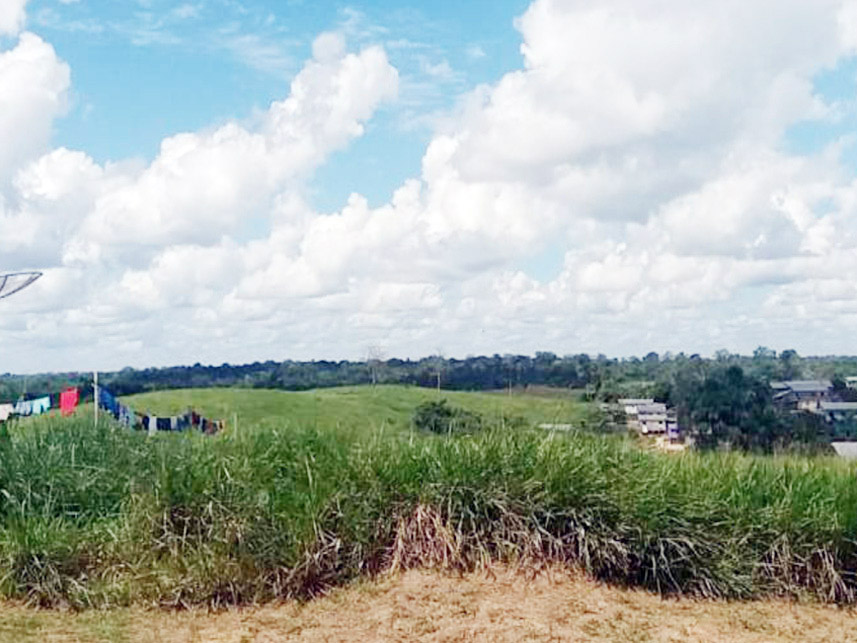 Imagem 6 do Leilão de Terreno - Centro - Ipixuna/AM