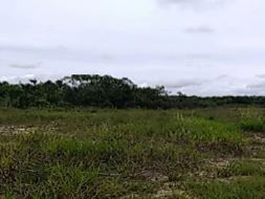 Imagem 1 do Leilão de Terreno - Polo Petroquímico - Camaçari/BA