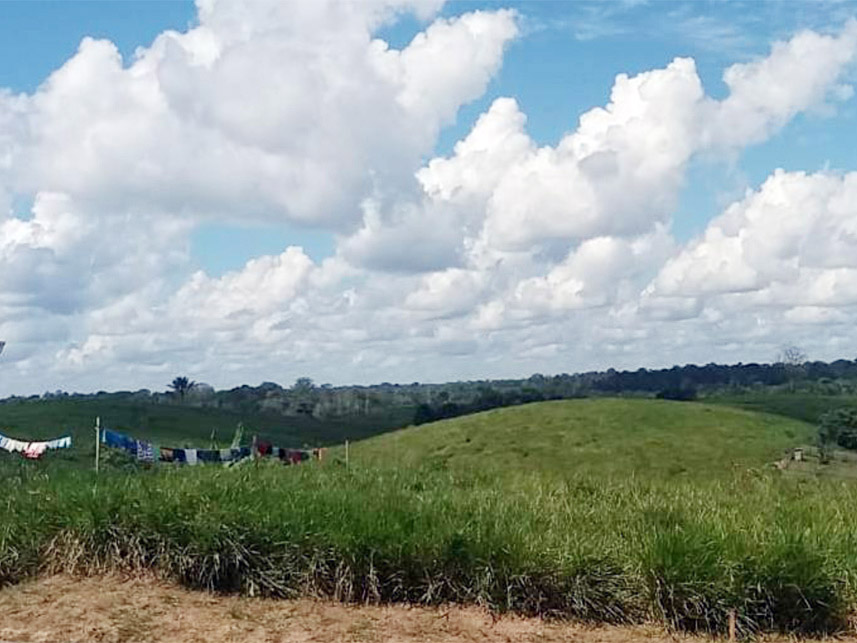 Imagem 1 do Leilão de Terreno - Centro - Ipixuna/AM
