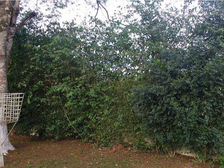 Imagem 3 do Leilão de Casa - Granja Cristiana - Vargem Grande Paulista/SP