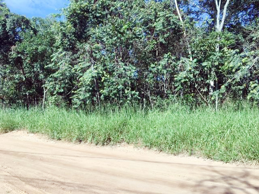 Imagem  do Leilão de Terreno - Sítios de Recreio Mansões do Campus - Goiânia/GO