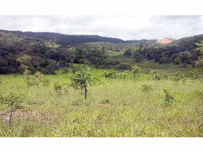 Imagem 3 do Leilão de Áreas Rurais - Área Rural - Esmeraldas/MG