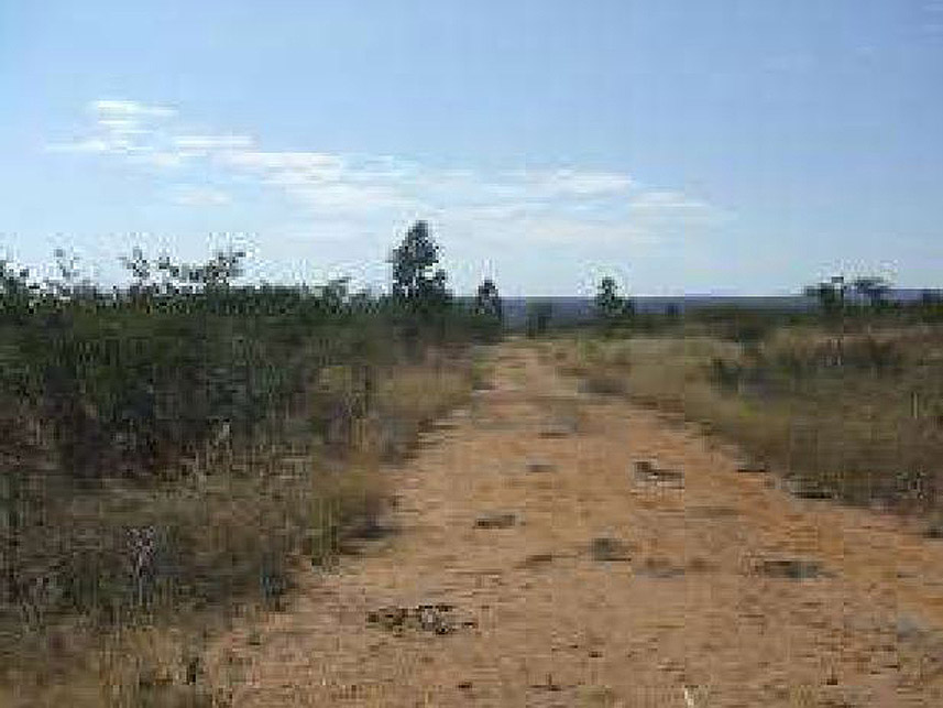 Imagem 4 do Leilão de Área Rural - Rural - Santo Antônio do Retiro/MG