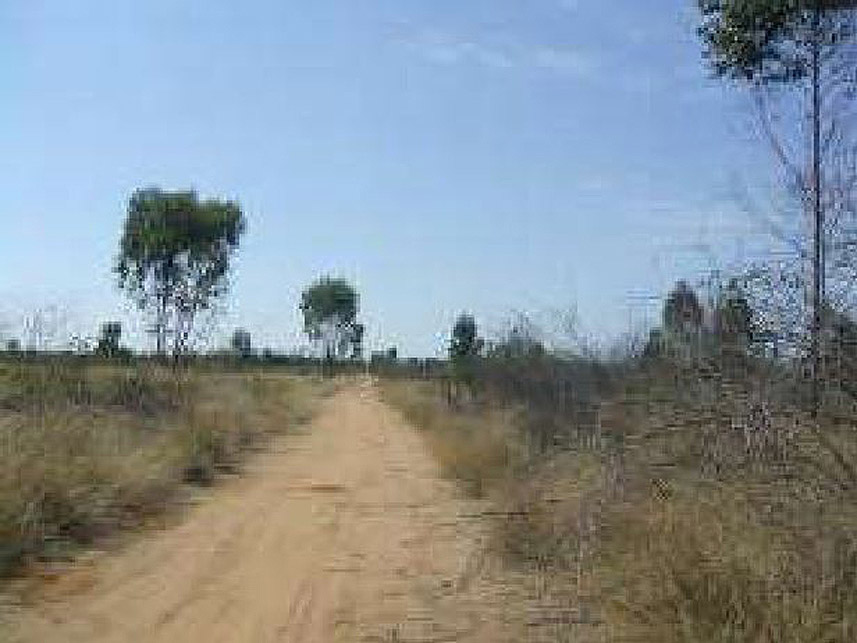 Imagem 6 do Leilão de Área Rural - Rural - Santo Antônio do Retiro/MG