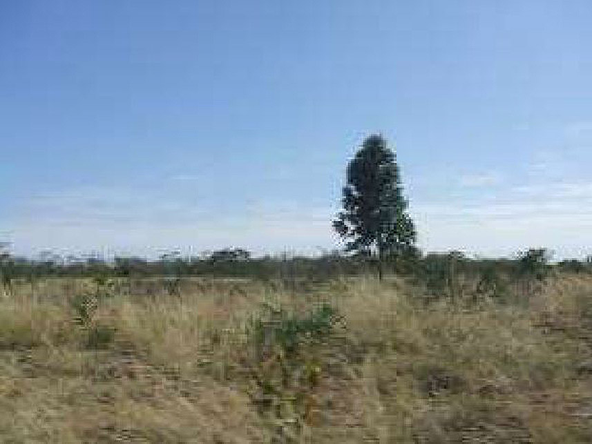 Imagem 3 do Leilão de Área Rural - Rural - Santo Antônio do Retiro/MG