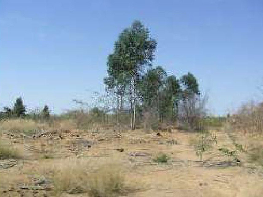 Imagem 8 do Leilão de Área Rural - Rural - Santo Antônio do Retiro/MG