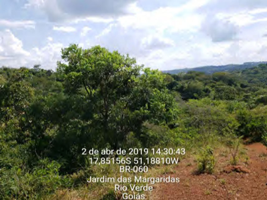 Imagem 1 do Leilão de Áreas Rurais - Área Rural - Rio Verde/GO