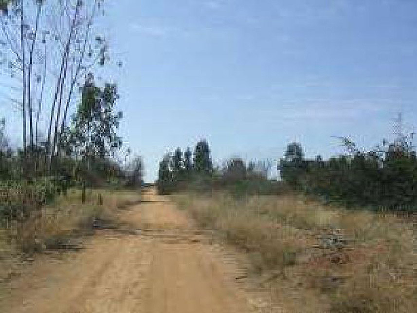 Imagem 9 do Leilão de Área Rural - Rural - Santo Antônio do Retiro/MG