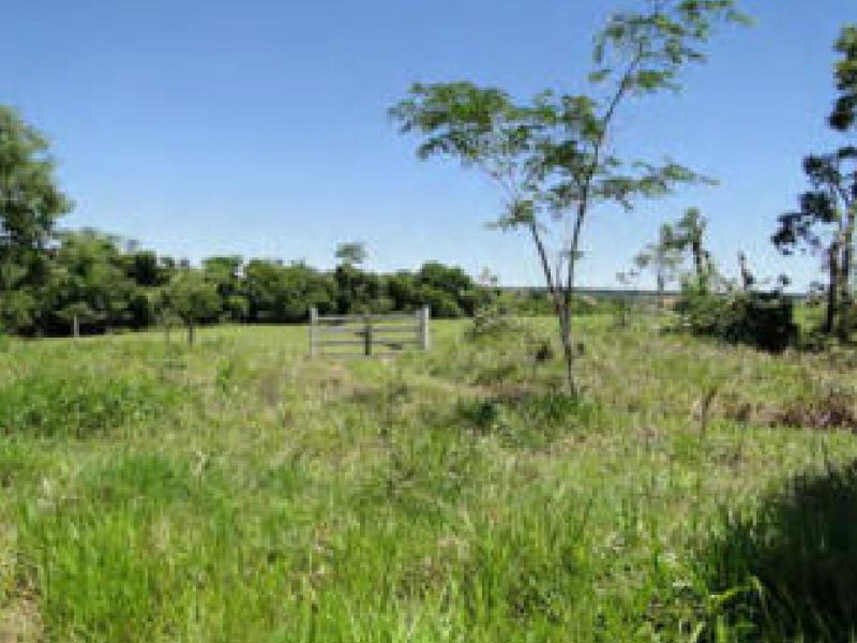 Imagem 1 do Leilão de Área Rural - Centro - Ubirajara/SP