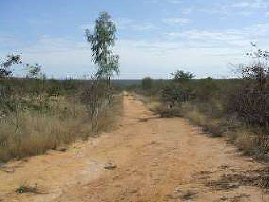 Imagem 5 do Leilão de Área Rural - Rural - Santo Antônio do Retiro/MG