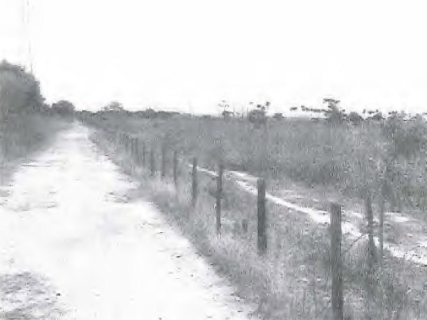 Imagem  do Leilão de Área Rural - Parque Aurora - Rio de Janeiro/RJ