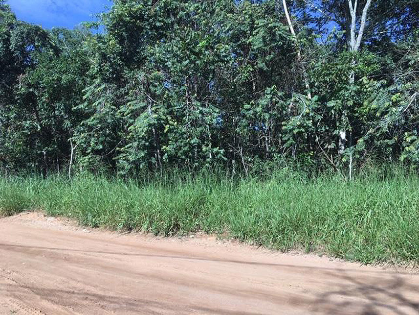 Imagem  do Leilão de Terreno - Sítios de Recreio Mansões do Campus - Goiânia/GO