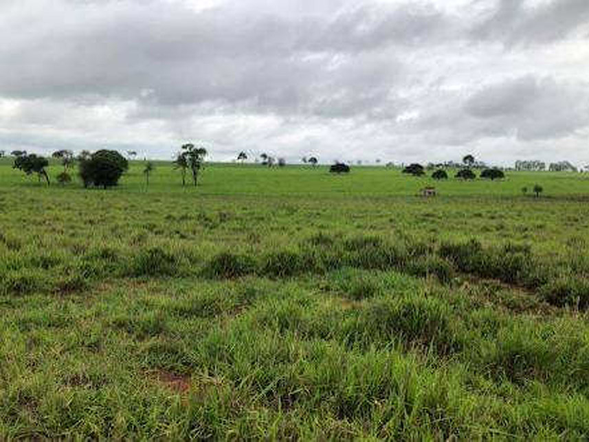 Imagem 3 do Leilão de Área Rural - Saltinho - Rancharia/SP