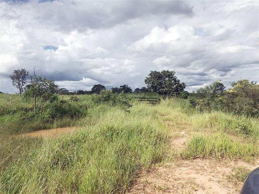 Imagem 1 do Leilão de Terreno - Reserva e Palmito - Mineiros/GO