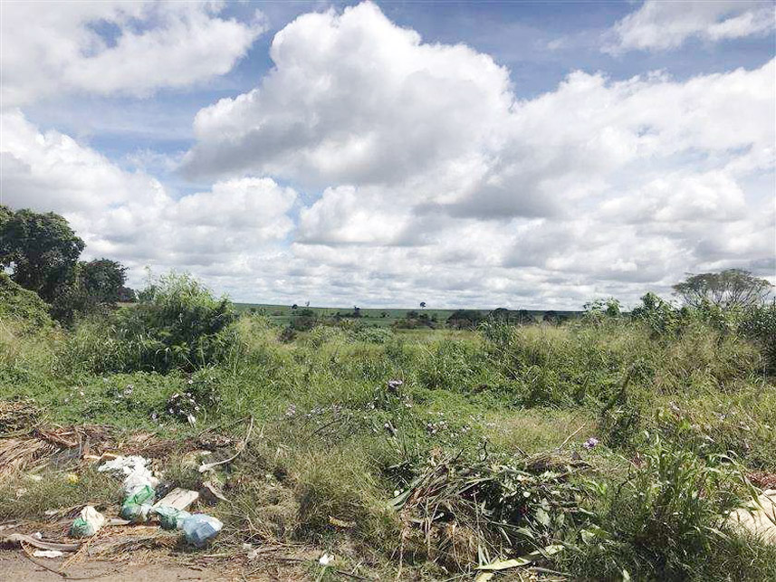 Imagem 1 do Leilão de Terreno - Setor Goiás Ii - Mineiros/GO