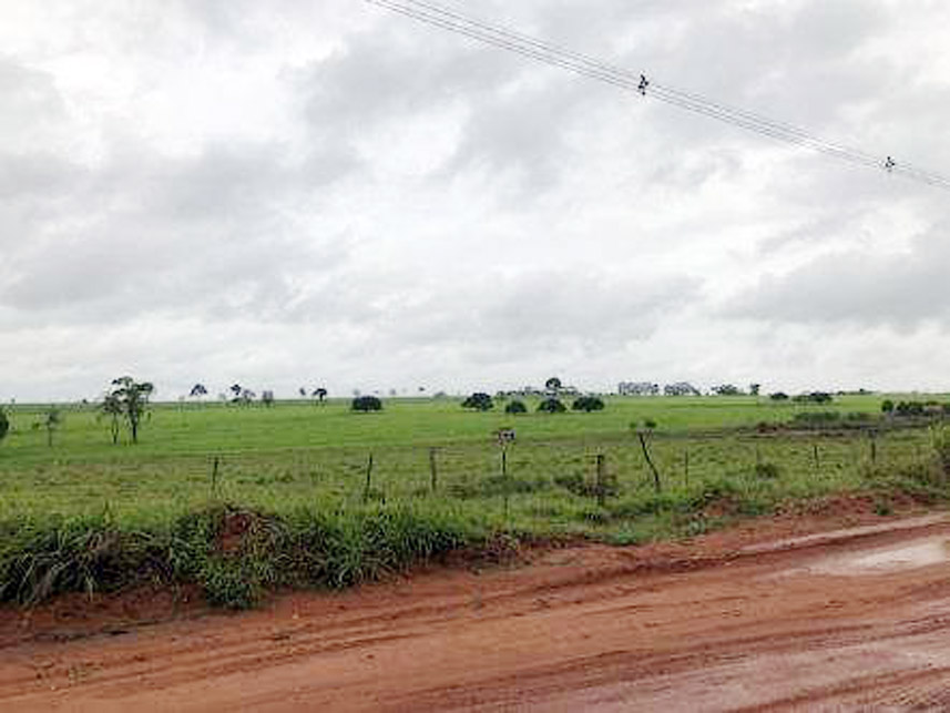 Imagem 1 do Leilão de Área Rural - Saltinho - Rancharia/SP