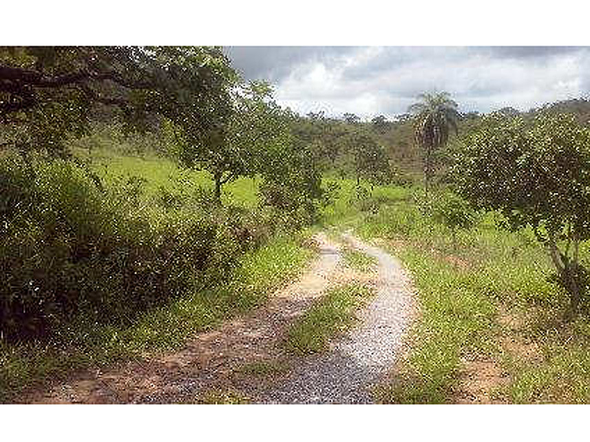 Imagem 5 do Leilão de Áreas Rurais - Área Rural - Esmeraldas/MG