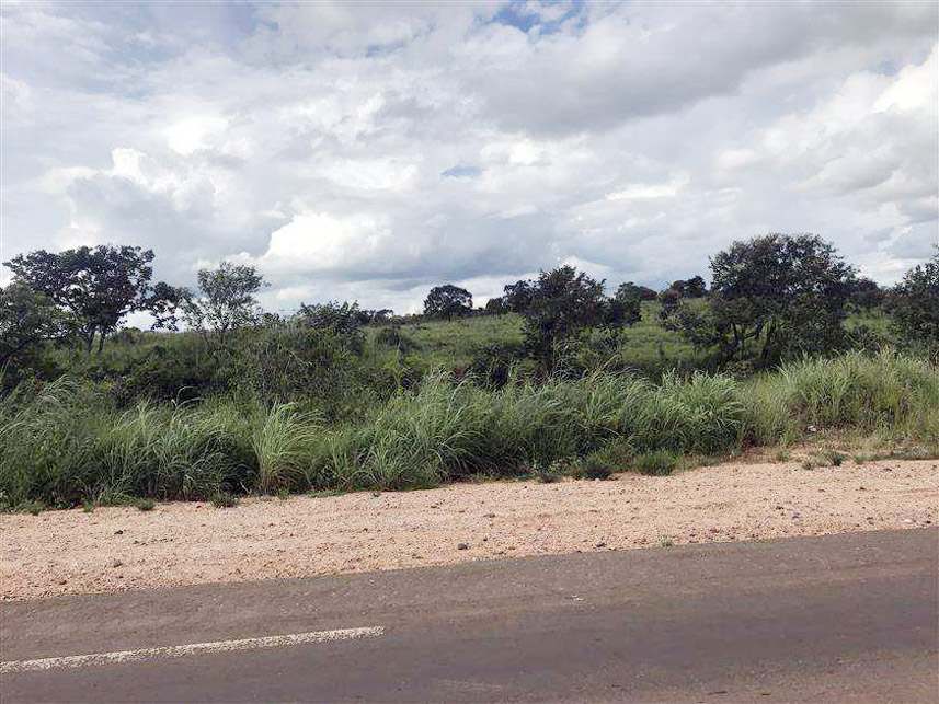 Imagem 4 do Leilão de Terreno - Reserva e Palmito - Mineiros/GO