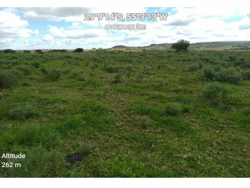 Imagem 2 do Leilão de Área Rural - Área Rural - Santiago/RS