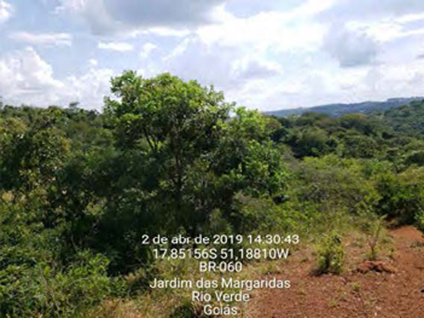 Imagem 1 do Leilão de Áreas Rurais - Área Rural - Rio Verde/GO