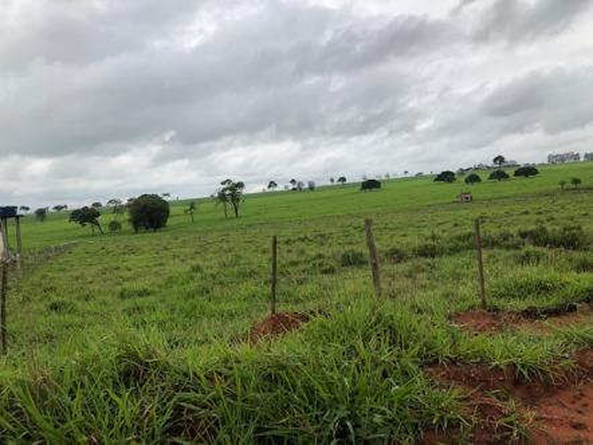 Imagem 2 do Leilão de Área Rural - Saltinho - Rancharia/SP