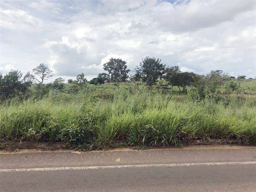 Imagem 5 do Leilão de Terreno - Reserva e Palmito - Mineiros/GO