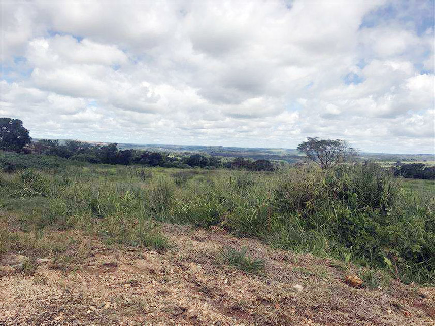 Imagem 4 do Leilão de Terreno - Setor Goiás Ii - Mineiros/GO