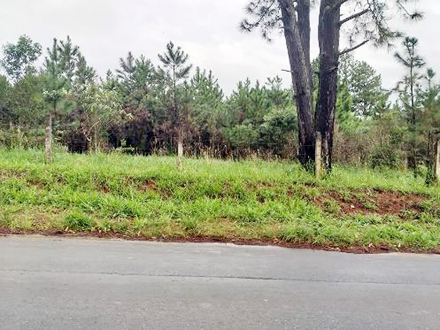 Imagem 1 do Leilão de Terreno - Cipó - Embu-Guaçu/SP