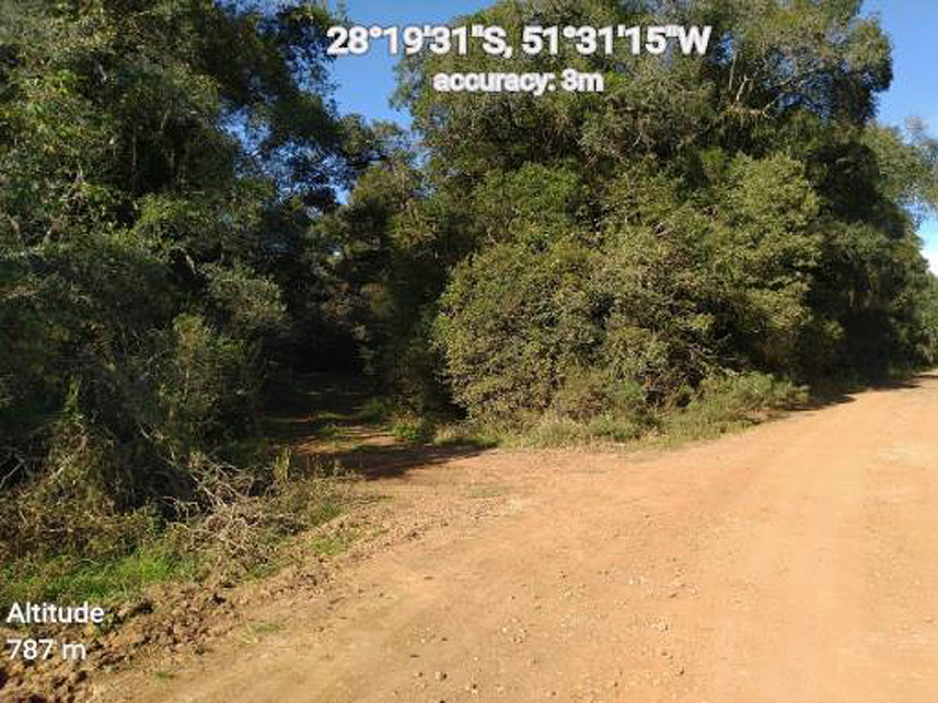 Imagem 1 do Leilão de Área Rural - Fazenda da Roseira - Lagoa Vermelha/RS
