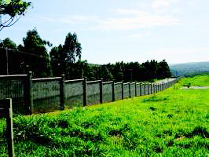 Imagem 4 do Leilão de Terreno - Entre Verdes - Campinas/SP