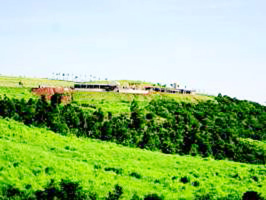 Imagem 11 do Leilão de Terreno - Entre Verdes - Campinas/SP