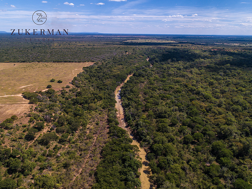 Imagem 5 do Leilão de Área Rural - Fazenda Caprichosa - Jaíba/MG