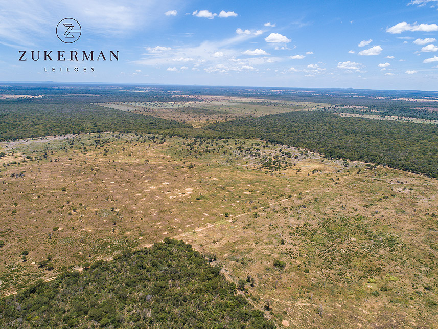 Imagem 3 do Leilão de Área Rural - Fazenda Caprichosa - Jaíba/MG