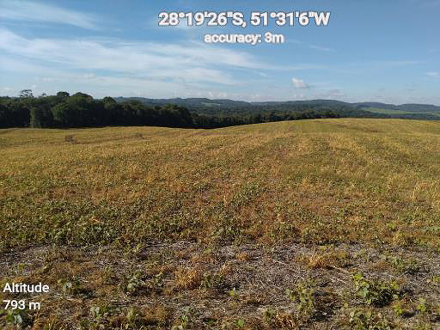 Imagem 2 do Leilão de Área Rural - Fazenda da Roseira - Lagoa Vermelha/RS