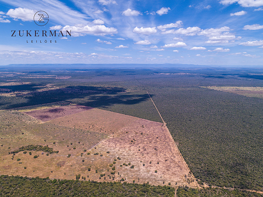 Imagem 4 do Leilão de Área Rural - Fazenda Caprichosa - Jaíba/MG