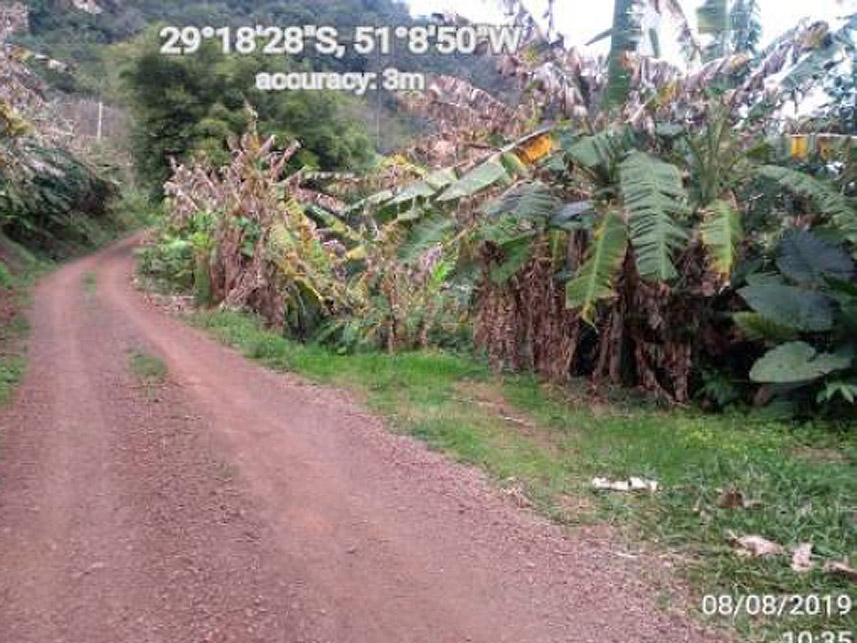 Imagem 7 do Leilão de Área Rural - Distrito de Galópolis - Caxias do Sul/RS