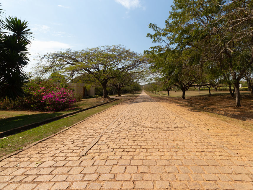 Imagem 53 do Leilão de Terreno - Fazenda Santo Antonio - Haras Larissa - Monte Mor/SP