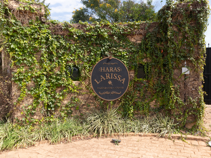 Imagem 27 do Leilão de Terreno - Fazenda Santo Antonio - Haras Larissa - Monte Mor/SP