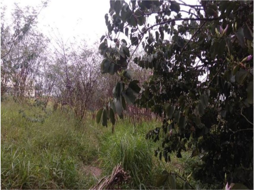 Imagem 3 do Leilão de Terreno - Interlagos - São Paulo/SP