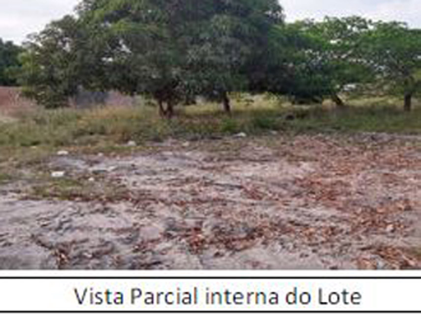 Imagem 6 do Leilão de Área Rural - Senador Hélio Campos - Boa Vista/RR
