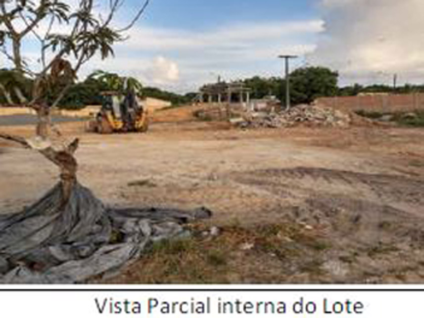 Imagem 8 do Leilão de Área Rural - Senador Hélio Campos - Boa Vista/RR